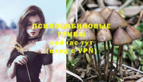 дживик Абдулино