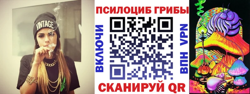 Галлюциногенные грибы Psilocybine cubensis Воронеж
