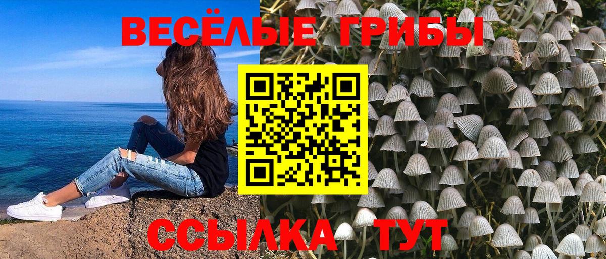 Воронеж  Псилоцибиновые грибы прущие грибы  Вход с VPN  Псилоцибиновые грибы Psilocybine cubensis 