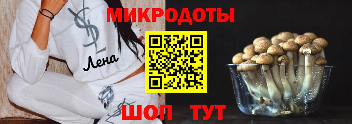 Псилоцибиновые грибы GOLDEN TEACHER Воронеж